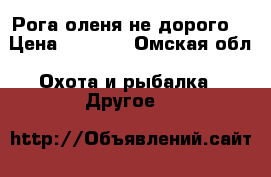 Рога оленя не дорого. › Цена ­ 1 500 - Омская обл. Охота и рыбалка » Другое   